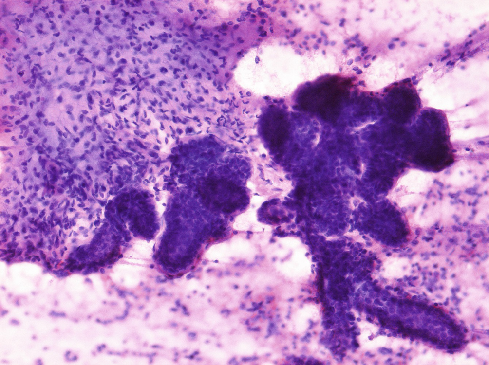 Introduction Springerlink - 