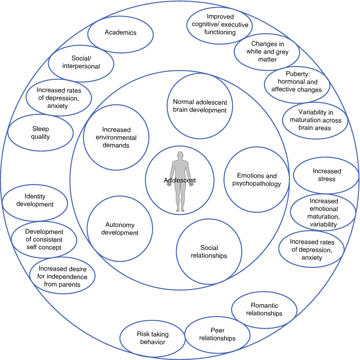 The Adolescent Brain Why Executive >> Adolescent Brain Development And Implications For Adolescents With The Adolescent Brain Why Executive >> Adolescent Brain Development And Implications For Adolescents With