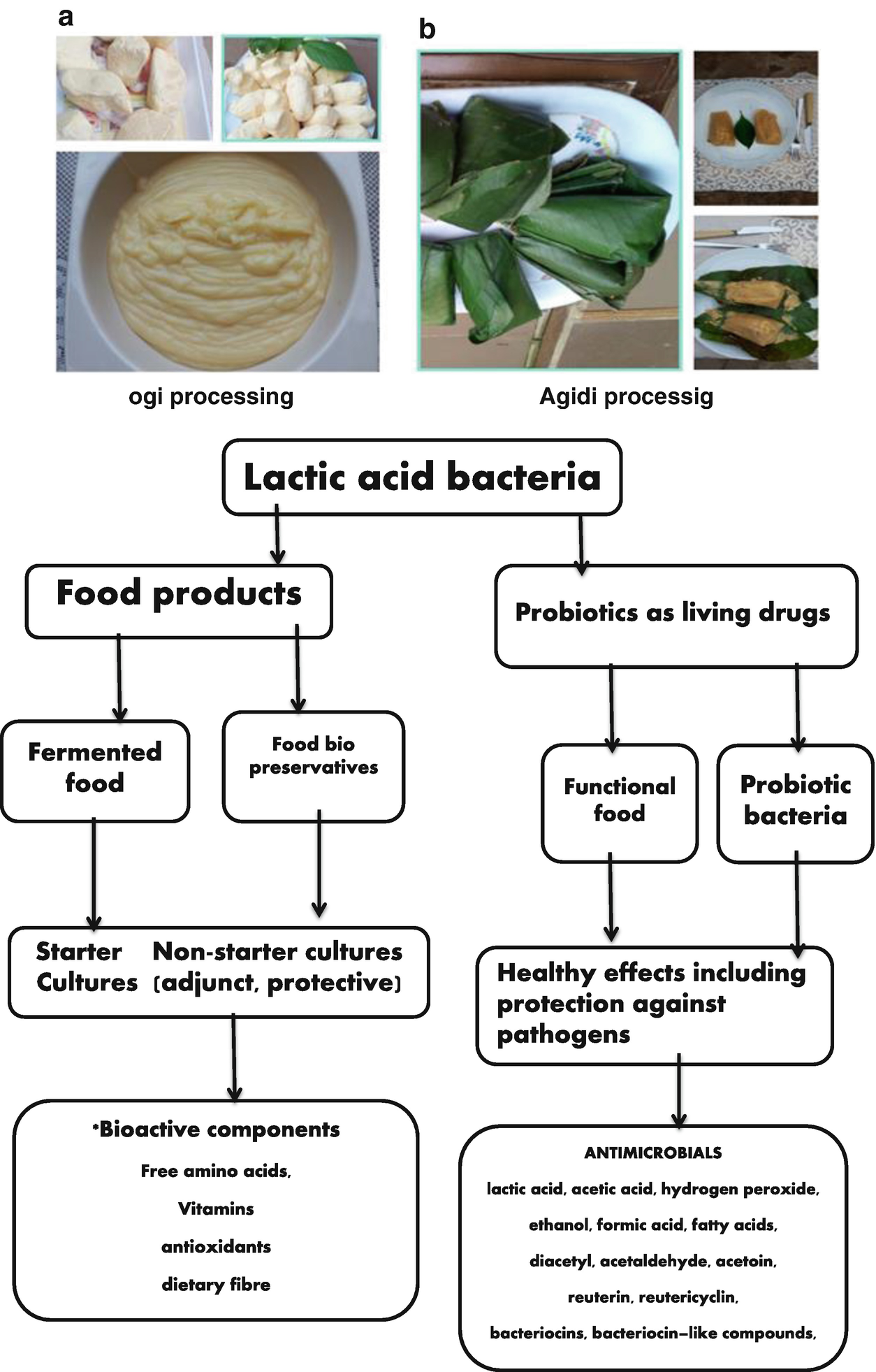 Cereal Based Fermented Foods Of Africa As Functional Foods - 