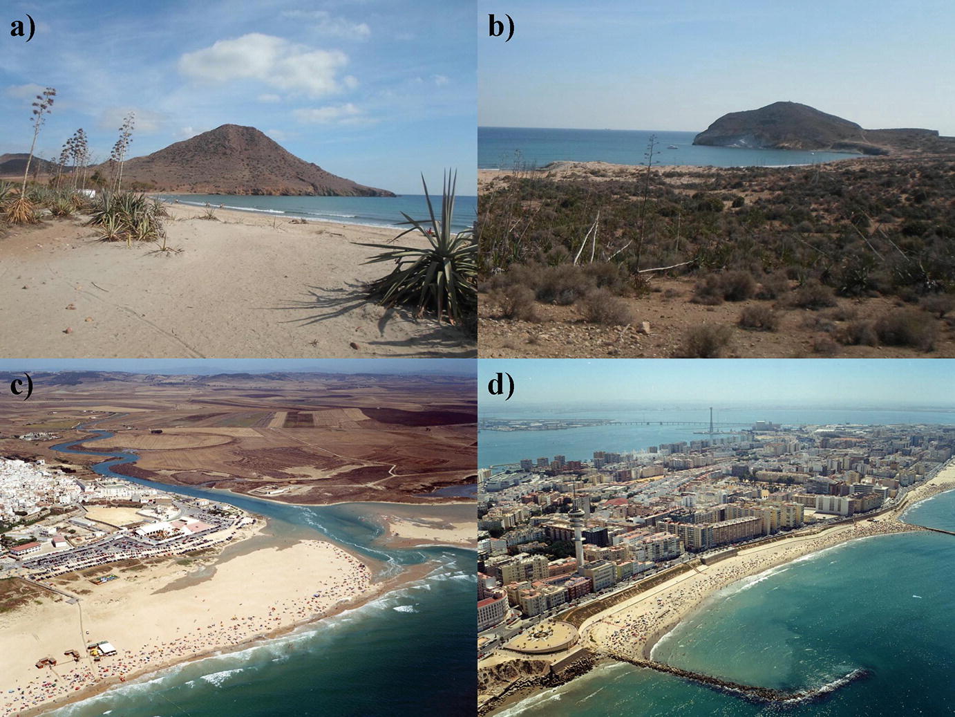 Examples Of Class Divisions And Country Synopsis For Coastal