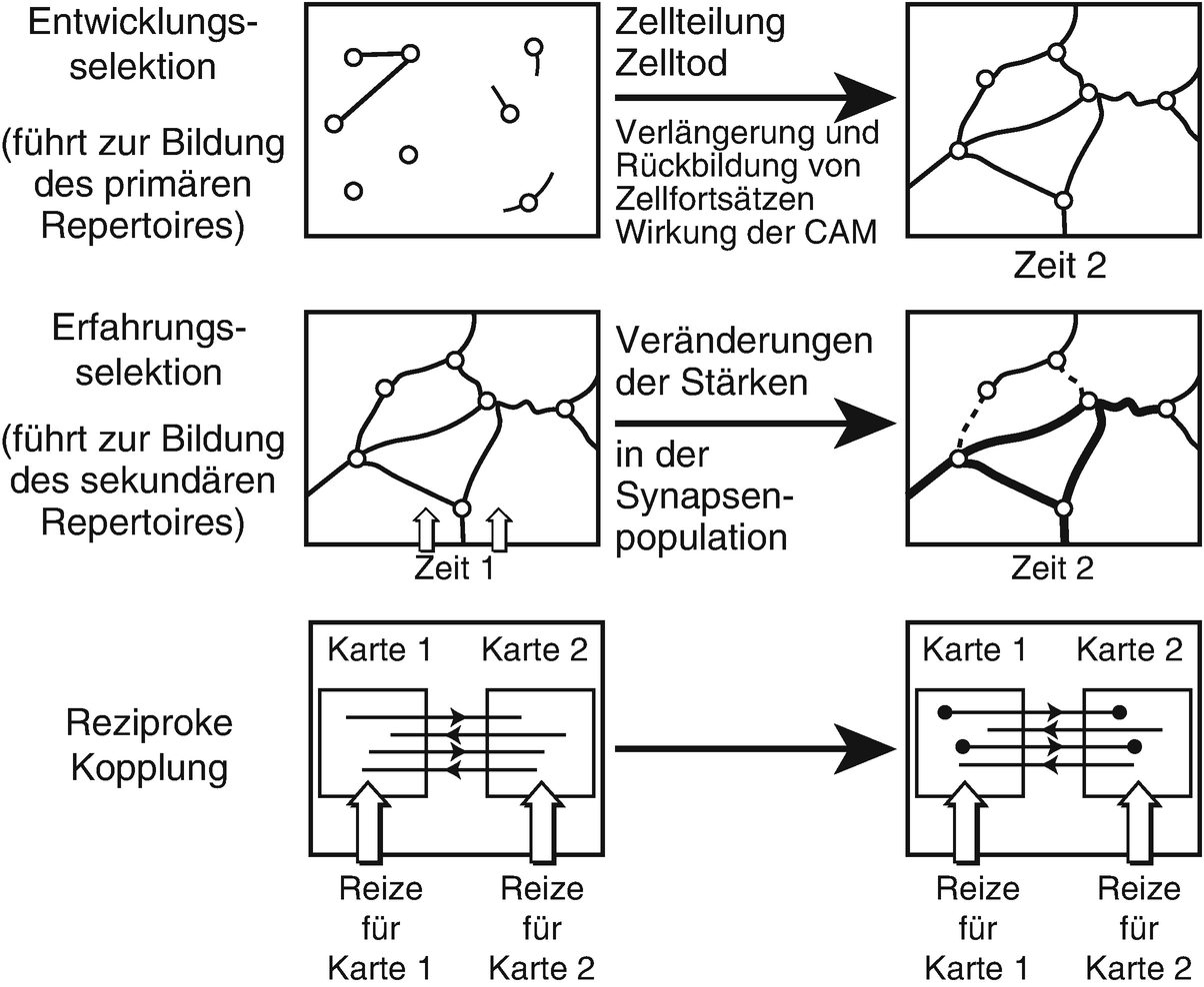 Embodiment A New Key To The Unconscious Springerlink - 