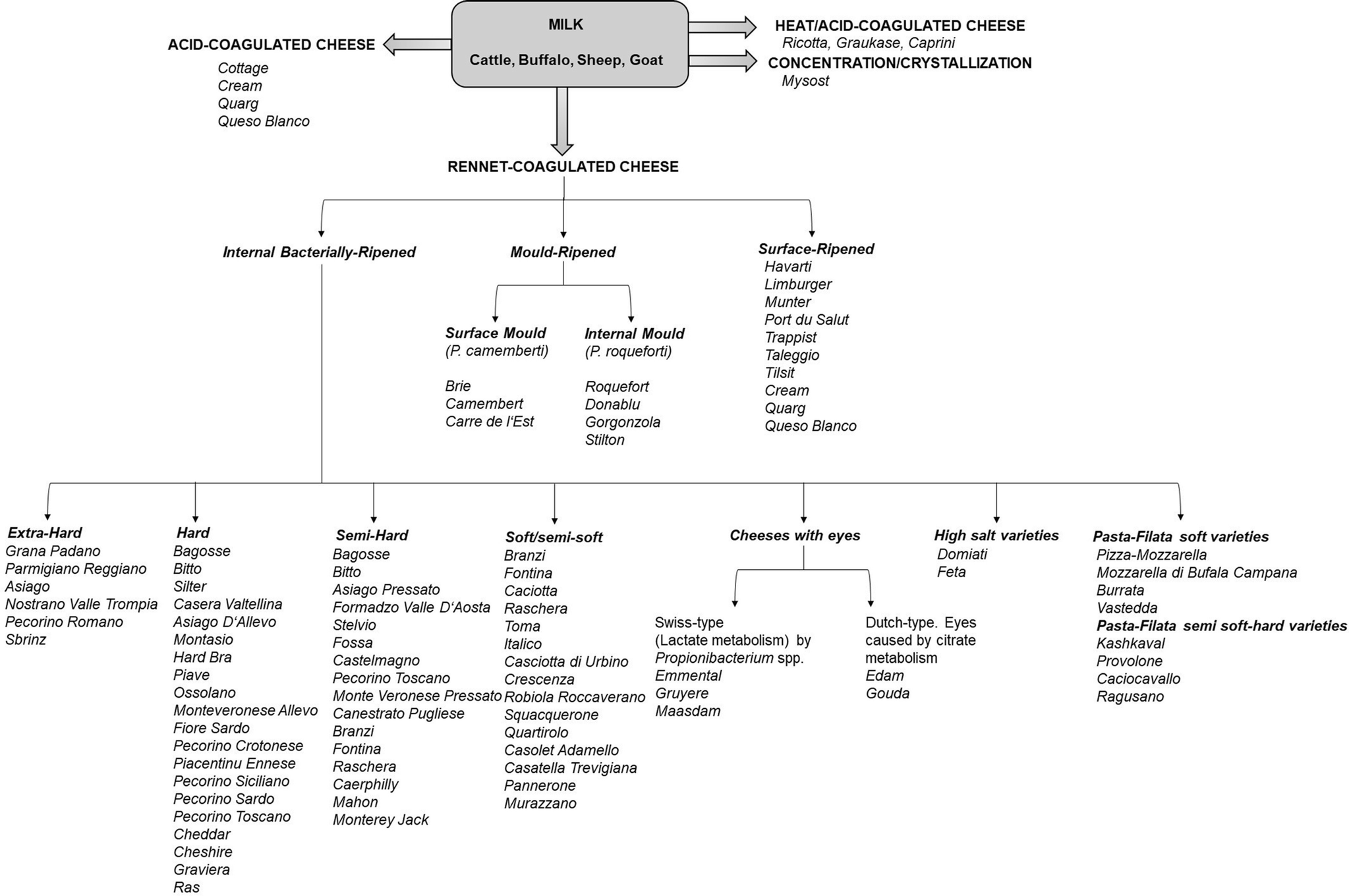 Classification of Cheese SpringerLink