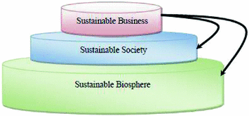Politicized Economy And Its Effects On Business Sustainability A