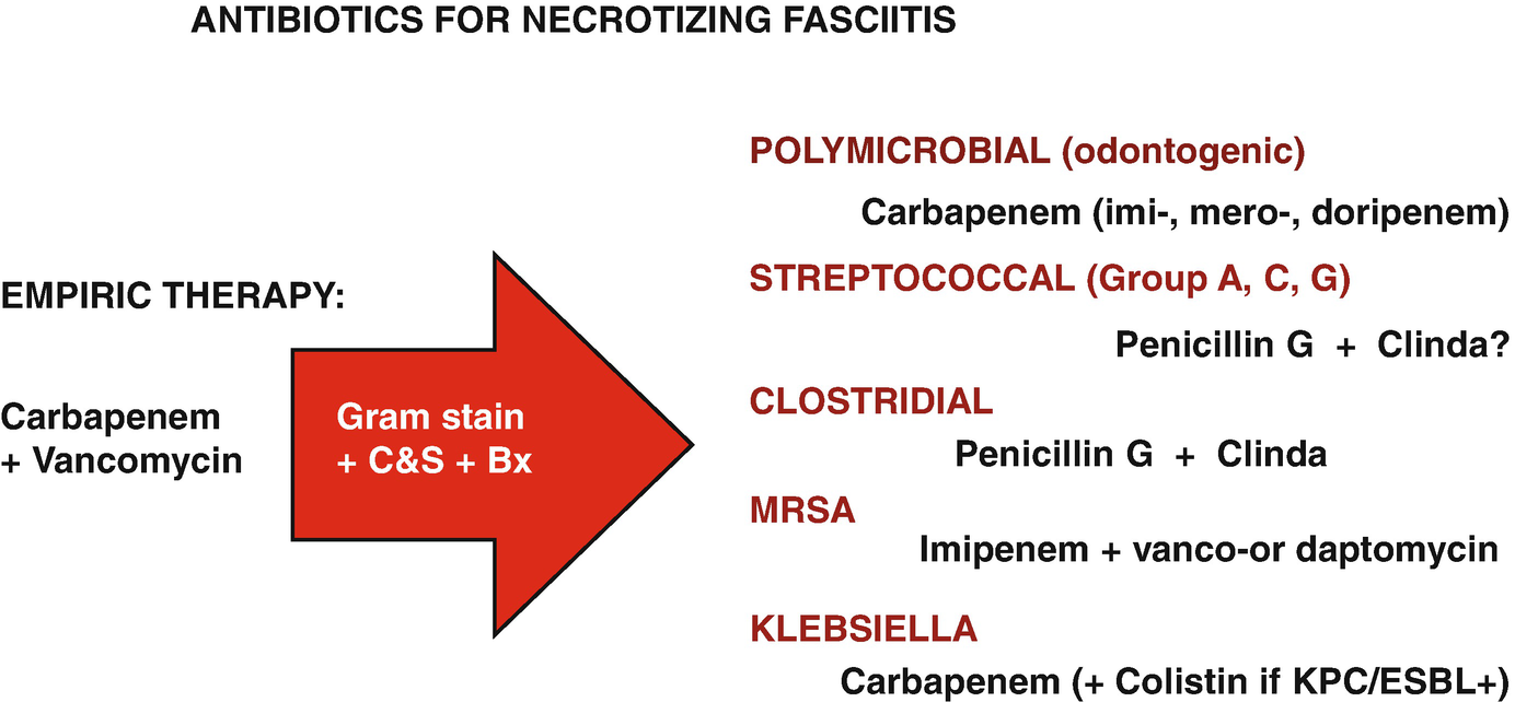 Evidence Based Principles Of Antibiotic Therapy Springerlink