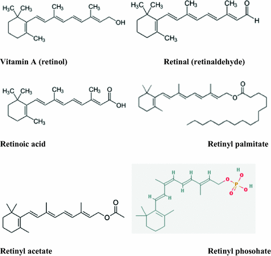 Vitamins Nutraceuticals Food Additives Enzymes