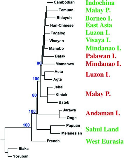Human Population Genomics Springerlink Human Population Genomics Springerlink