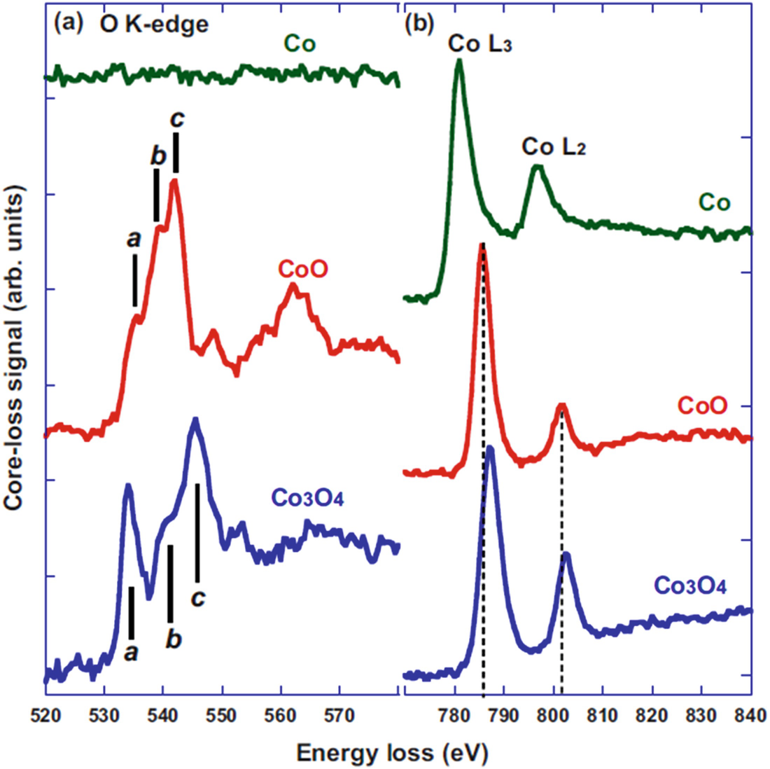Tem For Atomic Scale Study Fundamental Instrumentation And Applications In Nanotechnology Springerlink Tem For Atomic Scale Study Fundamental Instrumentation And Applications In Nanotechnology Springerlink