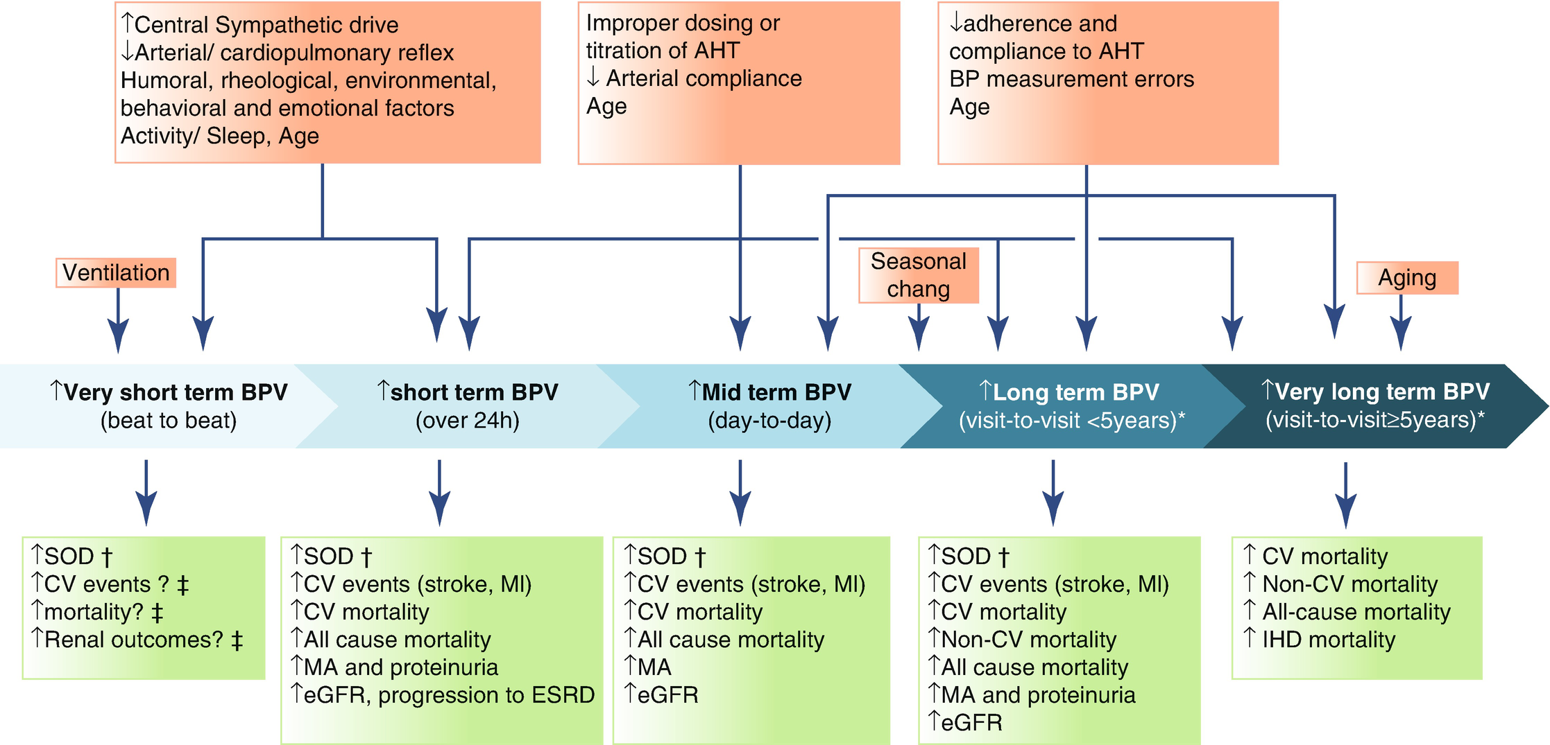 Blood Pressure Variability and Blood Pressure Load | SpringerLink