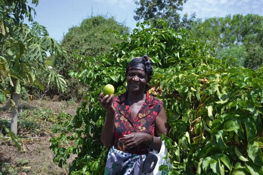 Building Eco Social Resilience In Rural Communities - 