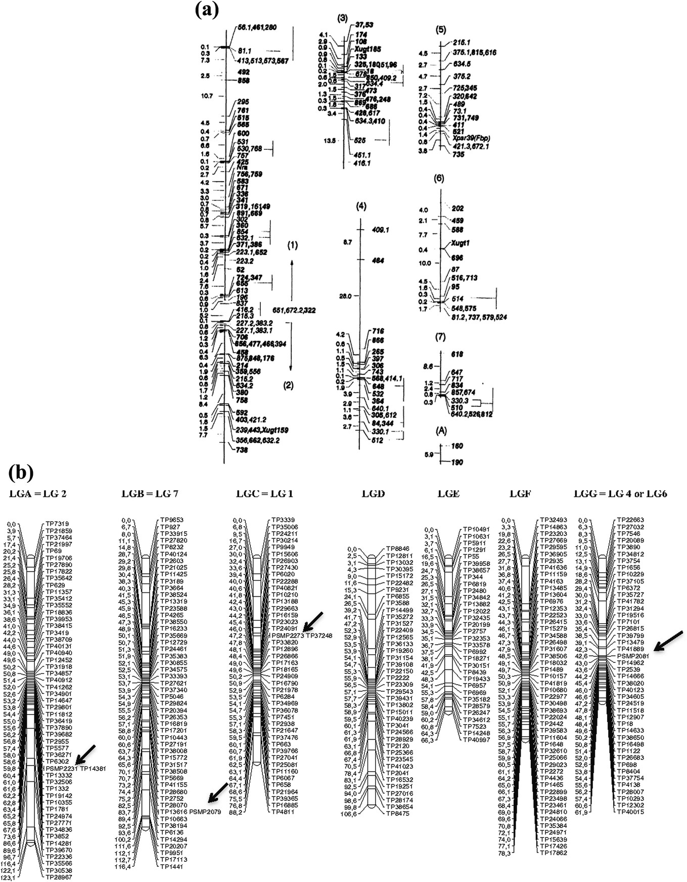 Genomic Designing of Pearl Millet: A Resilient Crop for Arid and ...