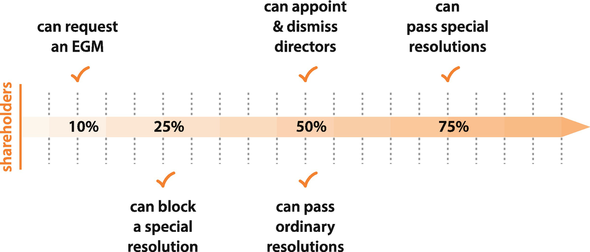 What Is A Company Springerlink