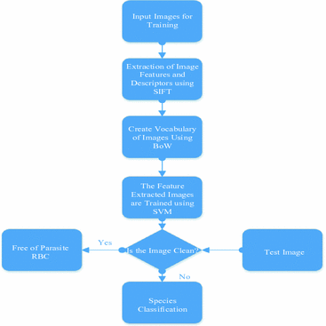 image classification using machine learning