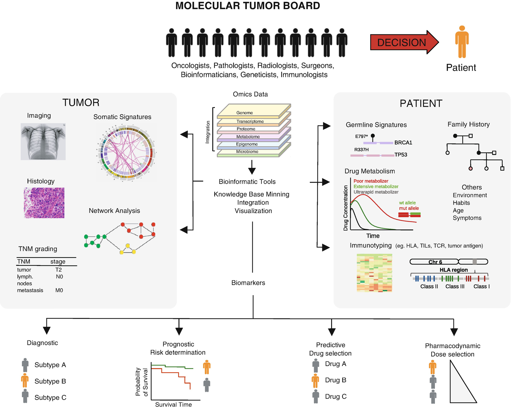 Bioinformatic Methods And Resources For Biomarker Discovery Validation Development And Integration Springerlink