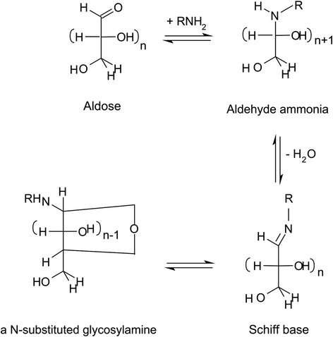 Maillard Reaction In Processed Foods Reaction Mechanisms