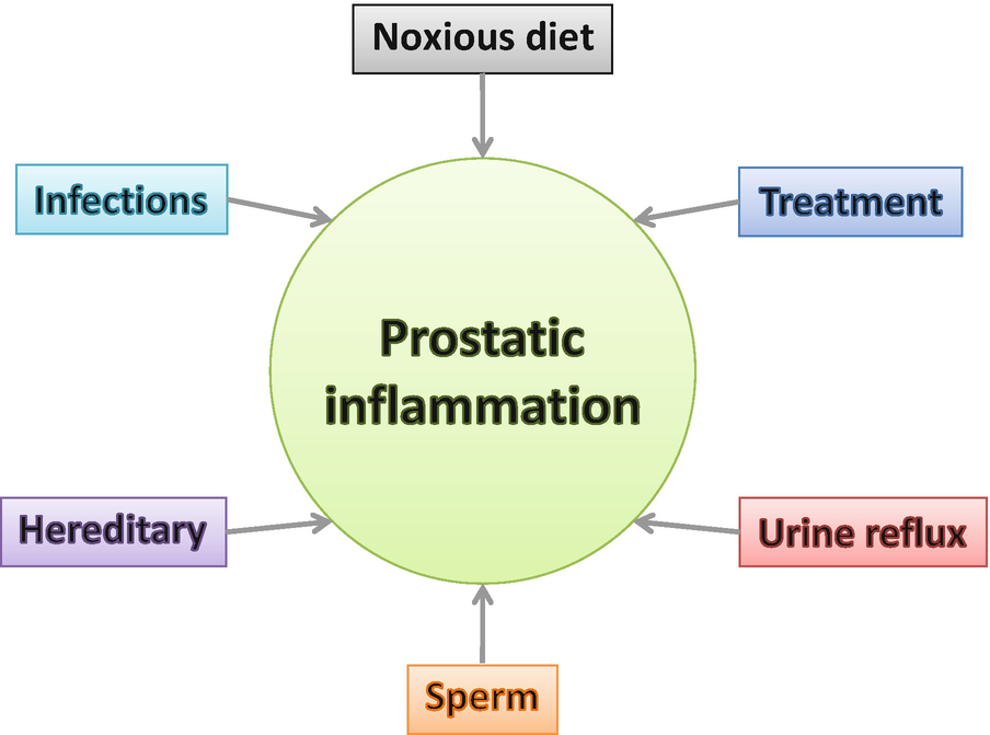 A prostatitis úgy néz ki - Hogy néz ki egy prostatitisz egy fotón