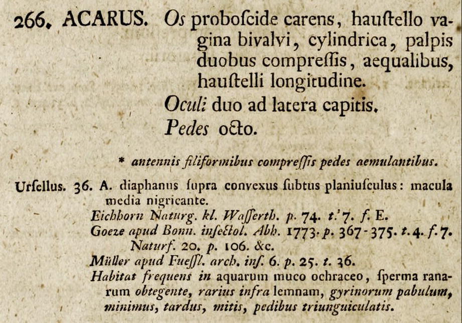 From Johann August Ephraim Goeze To Ernst Marcus A Ramble Through The History Of Early Tardigrade Research 1773 Until 1929 Springerlink