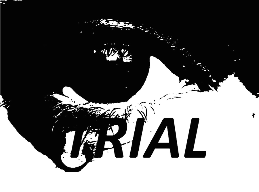 Definition Diagnosis And Epidemiology Of Attention Deficit And Hyperactivity Disorder Springerlink