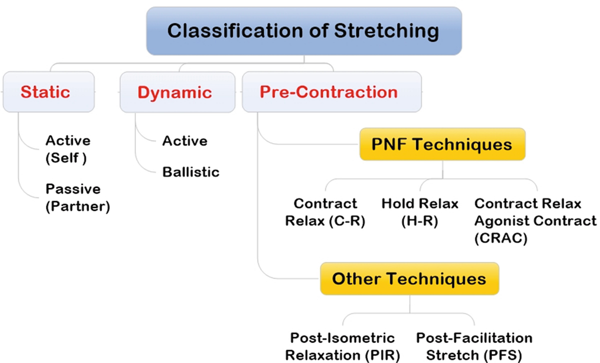 Literature Review Springerlink