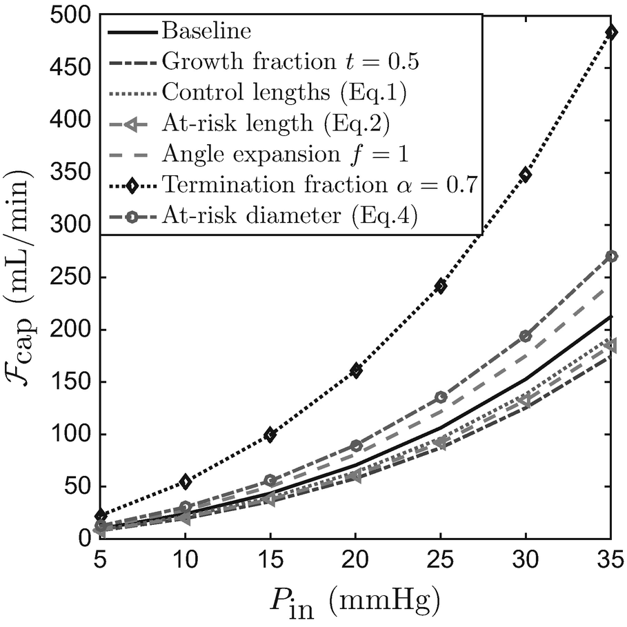 Simulations Of The Vascular Network Growth Process For Studying