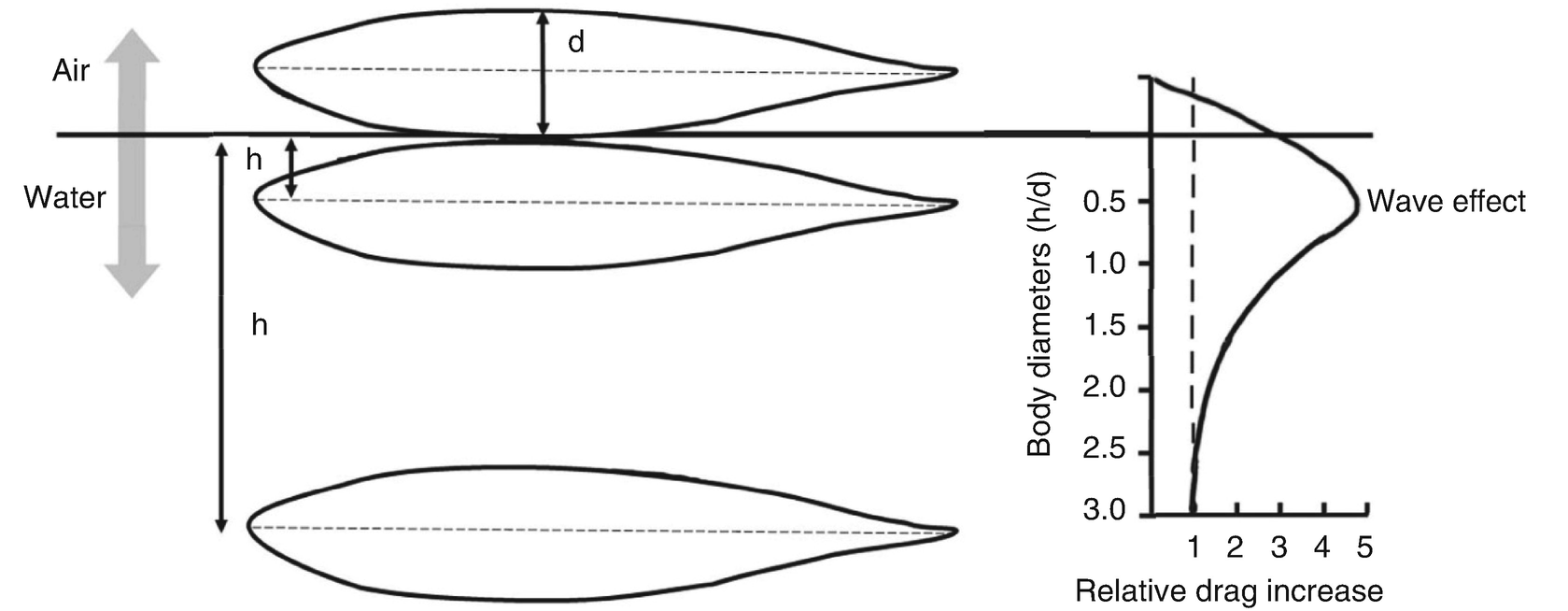 Locomotion Springerlink