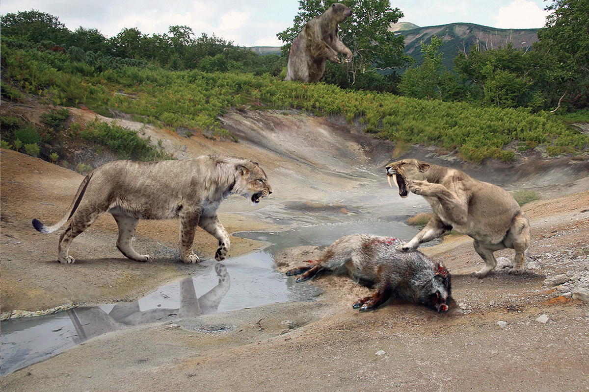 Pin By Gabriel Gomes Batista On Paleontology Prehistoric World Prehistoric Creatures Animals Beautiful