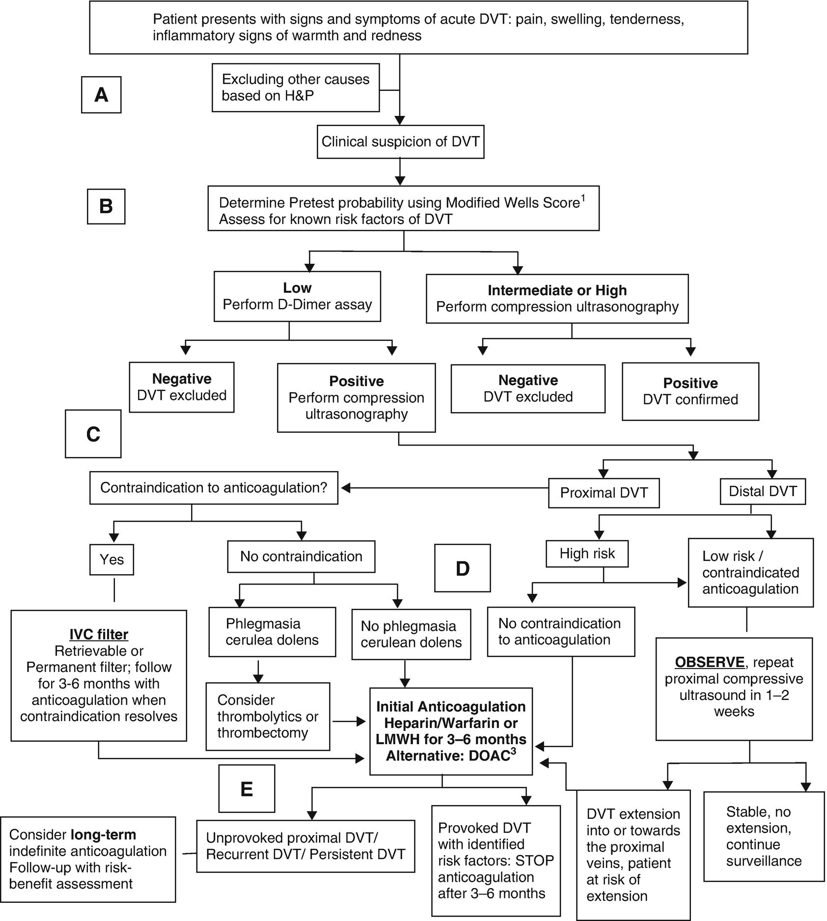 Acute Deep Venous Thrombosis Springerlink