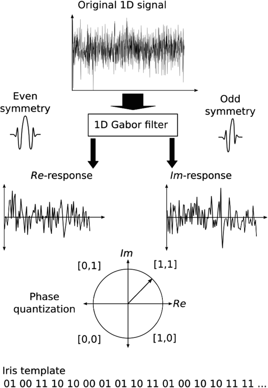 open image in new window Array - recognition based on eye biometrics iris  and retina springerlink rh link springer com