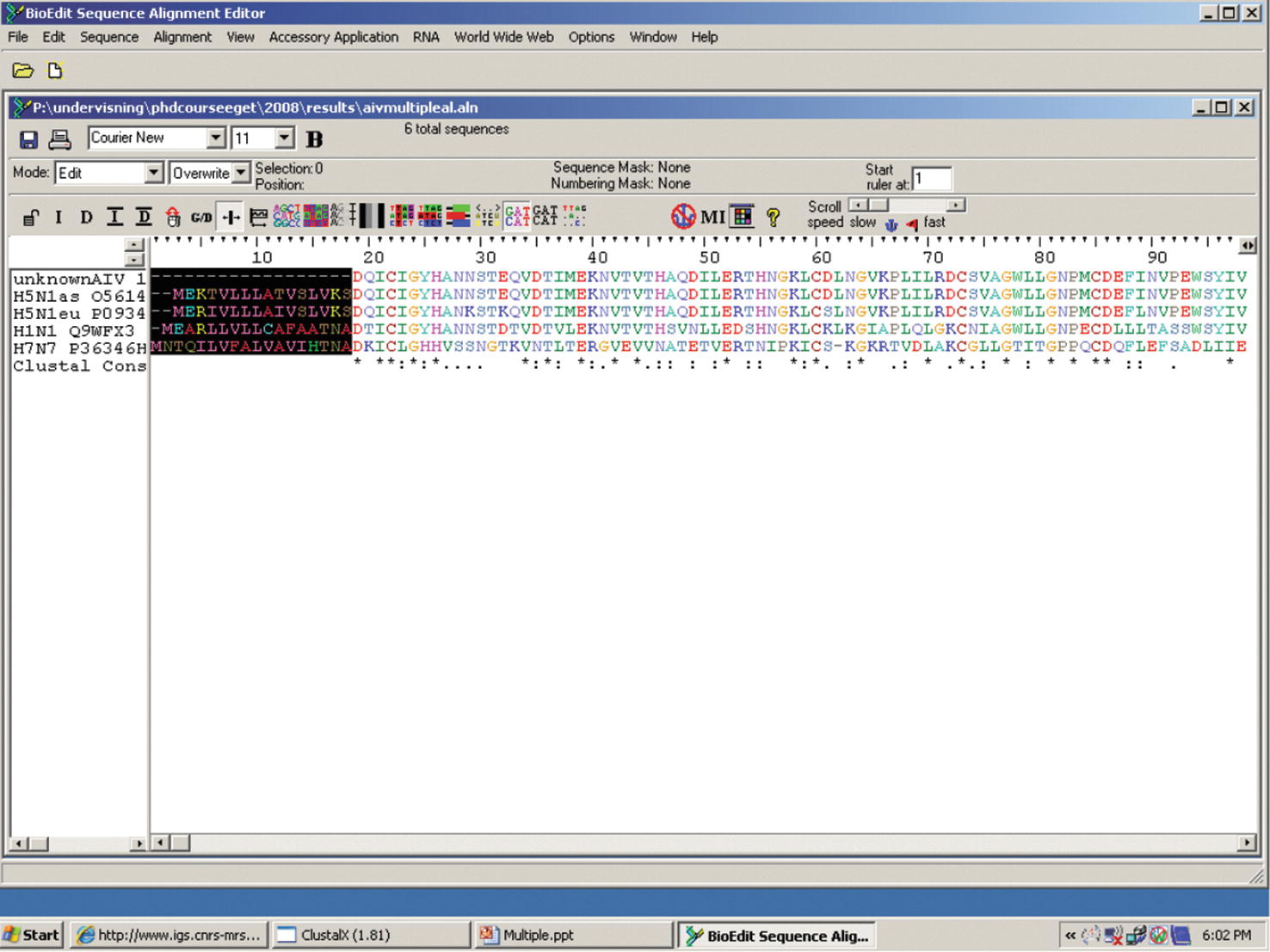 setin up local blast bioedit setin up local blast bioedit