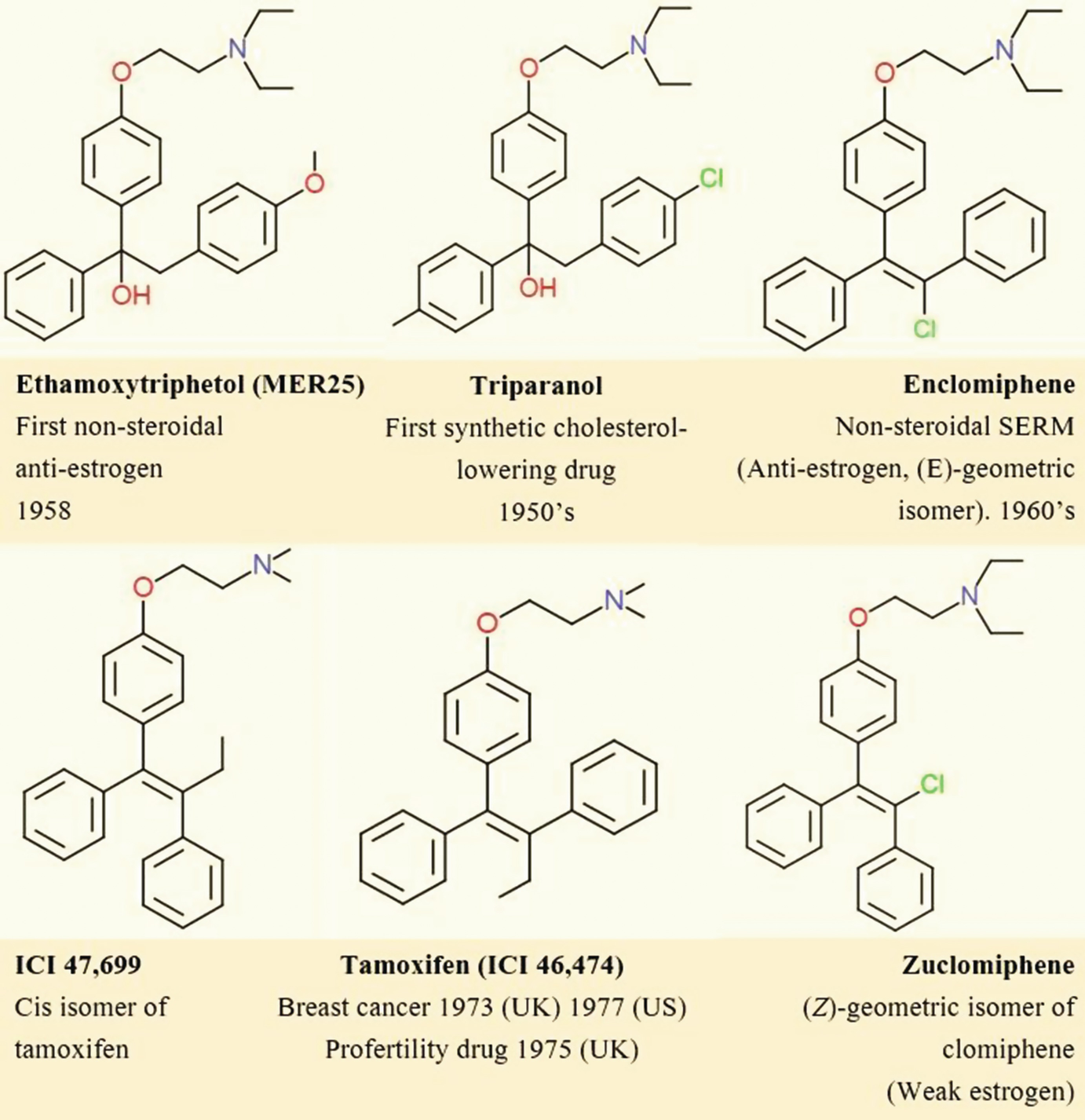 The First Targeted Therapy To Treat Cancer The Tamoxifen Tale