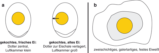Eier Und Eiprodukte Springerlink