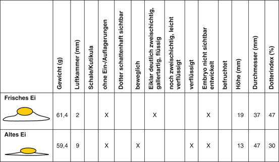 Eier Und Eiprodukte Springerlink