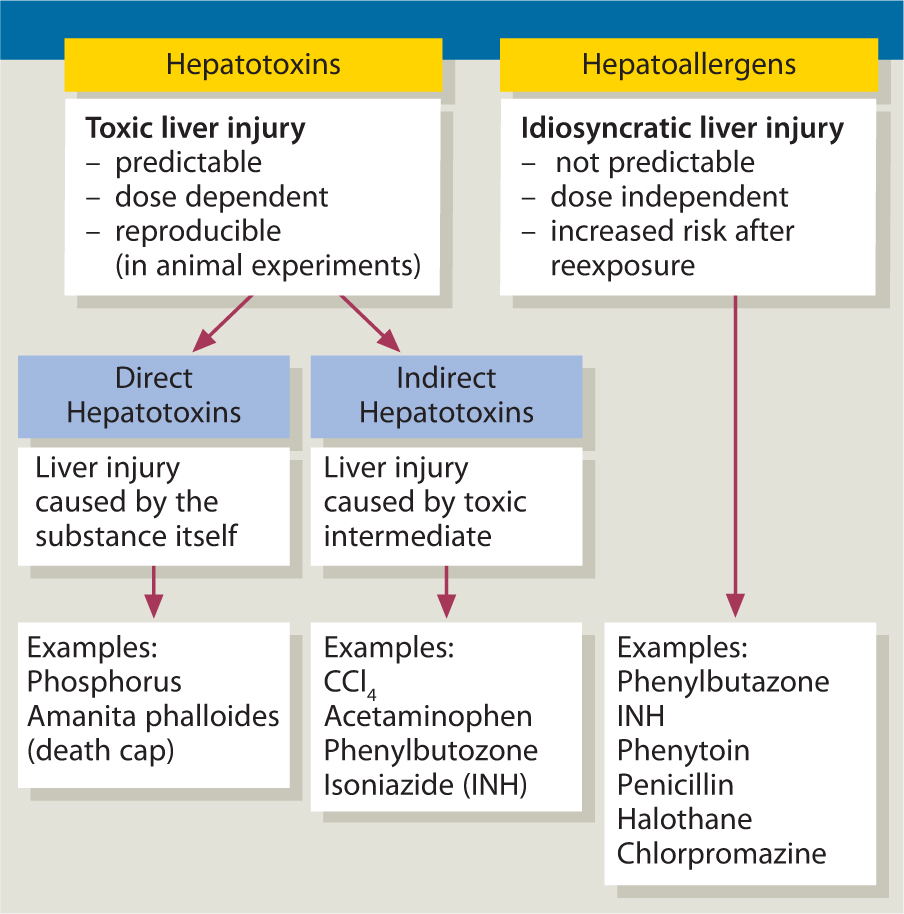 Drug And Toxin Induced Liver Injury Springerlink