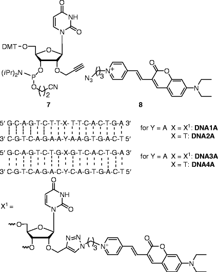 Optimized Uv Visible Fluorescent Markers Springerlink