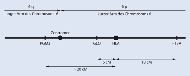 das hla system springerlink