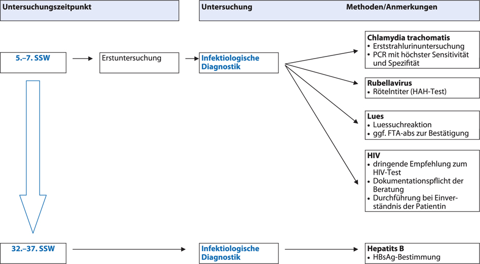 Infektionen In Der Geburtshilfe Springerlink