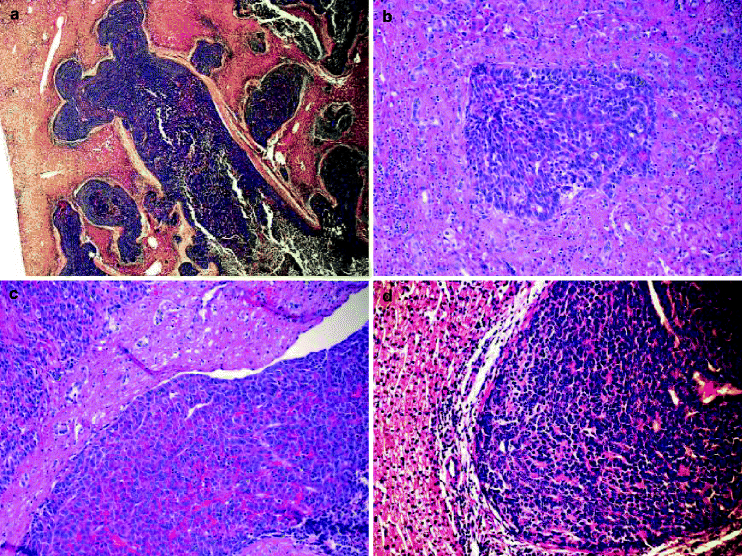 Download Kindred 9.10 Gif