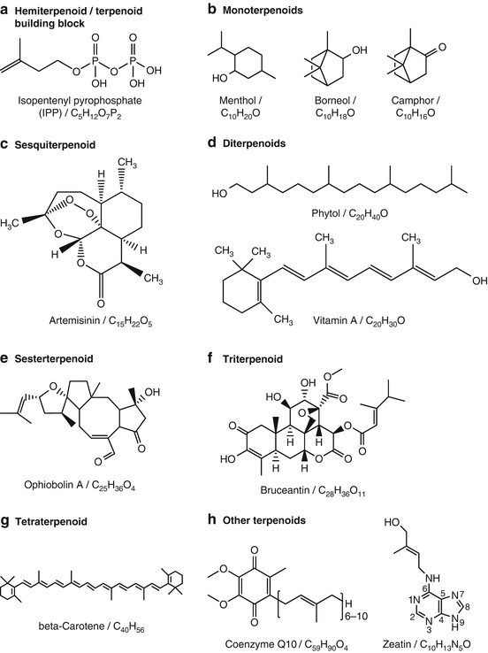 What Everyone Ought To Know About nathan mozango steroide