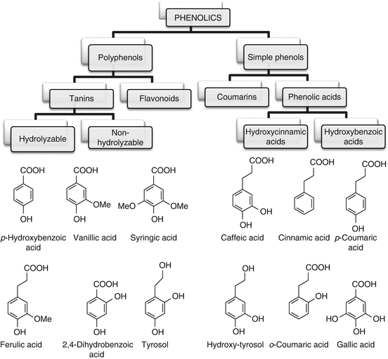 Phenolic Acids SpringerLink
