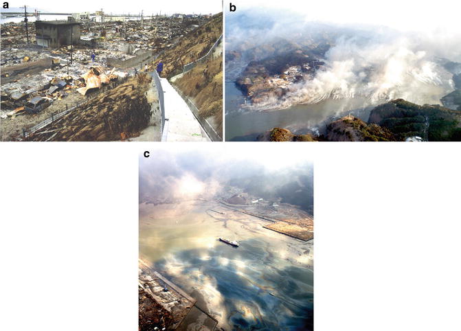 Tsunamis Effects In Man Made Environment Springerlink