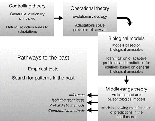 Historical Overview Of Paleoanthropological Research Springerlink