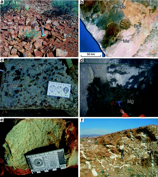 Effects Of Metasomatism On Mineral Systems And Their Host Rocks