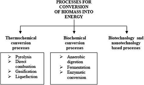 Biomass Conversion to Energy | SpringerLink