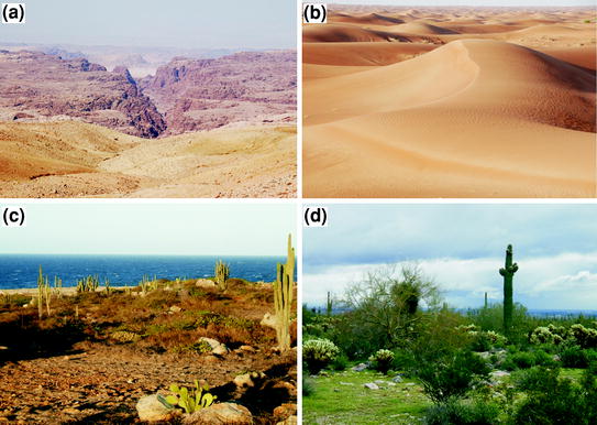 Aridity And Drought Springerlink