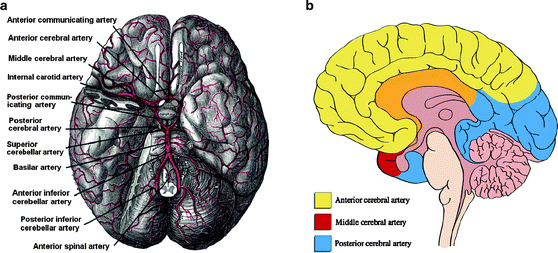 Hybrid Optical Electrical Brain Computer Interfaces