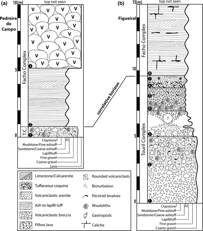 The Marine Fossil Record At Santa Maria Island Azores