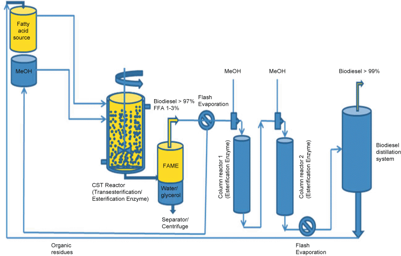 Pretreatment Methods in Biodiesel Production Processes | SpringerLink