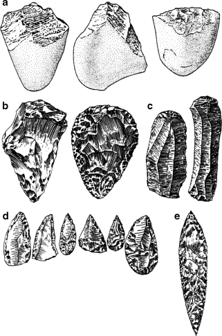 Evolution Des Menschen Und Seiner Nächsten Verwandten Der - 