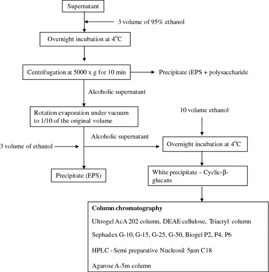 Extraction And Purification Of Cyclic B Glucan Springerlink