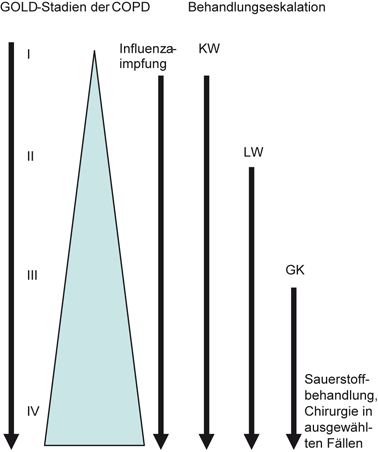 Spezielle Aspekte Bezogen Auf Organsysteme Nach Geriatrisch