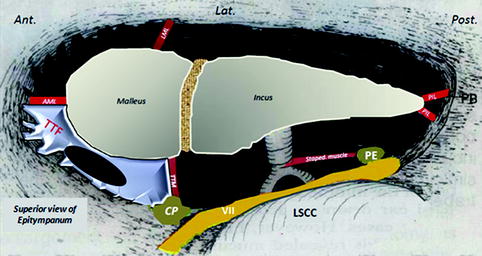 Middle Ear Contents | SpringerLink